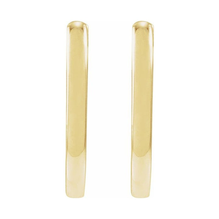Elongated Hoop Earrings