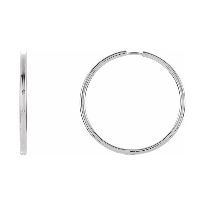 Hinged Hoop Earrings