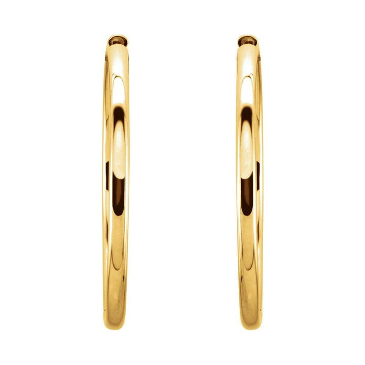 Hinged Hoop Earrings