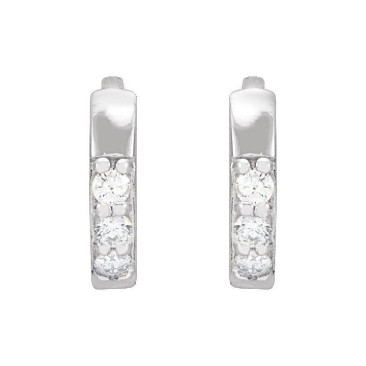 Accented Huggie Earrings