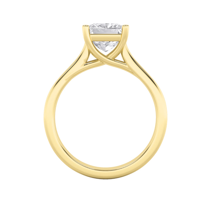 3Cttw Princess Shaped Lab Grown Diamond (F/VS) Plain Cathedral Trellis Shank Solitaire Engagement Ring in 14K Gold