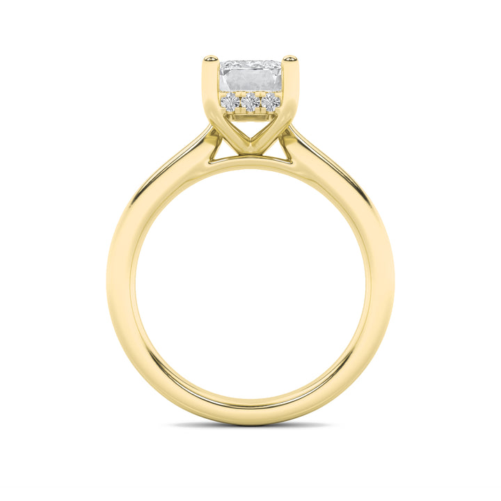 2Cttw Emerald Shaped Lab Grown Diamond (F/VVS) Hidden Halo Cathedral Shank Engagement Ring in 14K Gold