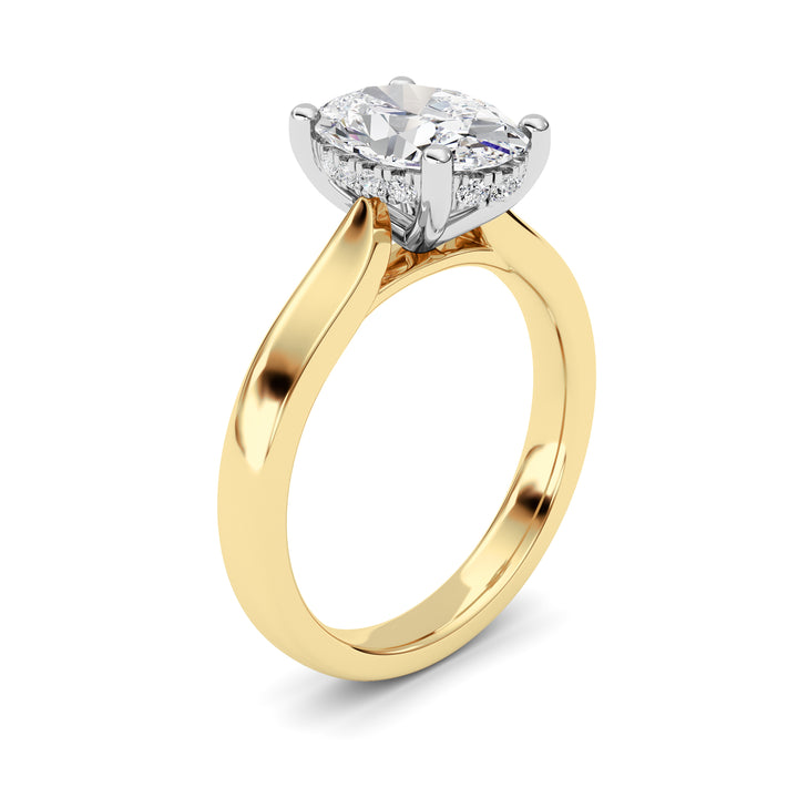 2Cttw Oval Shaped Lab Grown Diamond (F/VVS) Hidden Halo Cathedral Shank Engagement Ring in 14K Gold