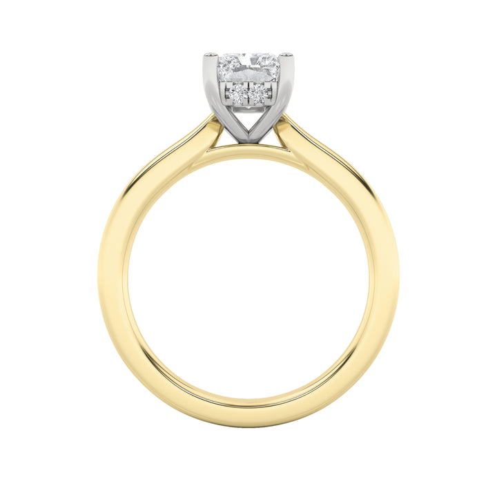 3Cttw Radiant Shaped Lab Grown Diamond (F/VVS) Hidden Halo Cathedral Shank Engagement Ring in 14K Gold